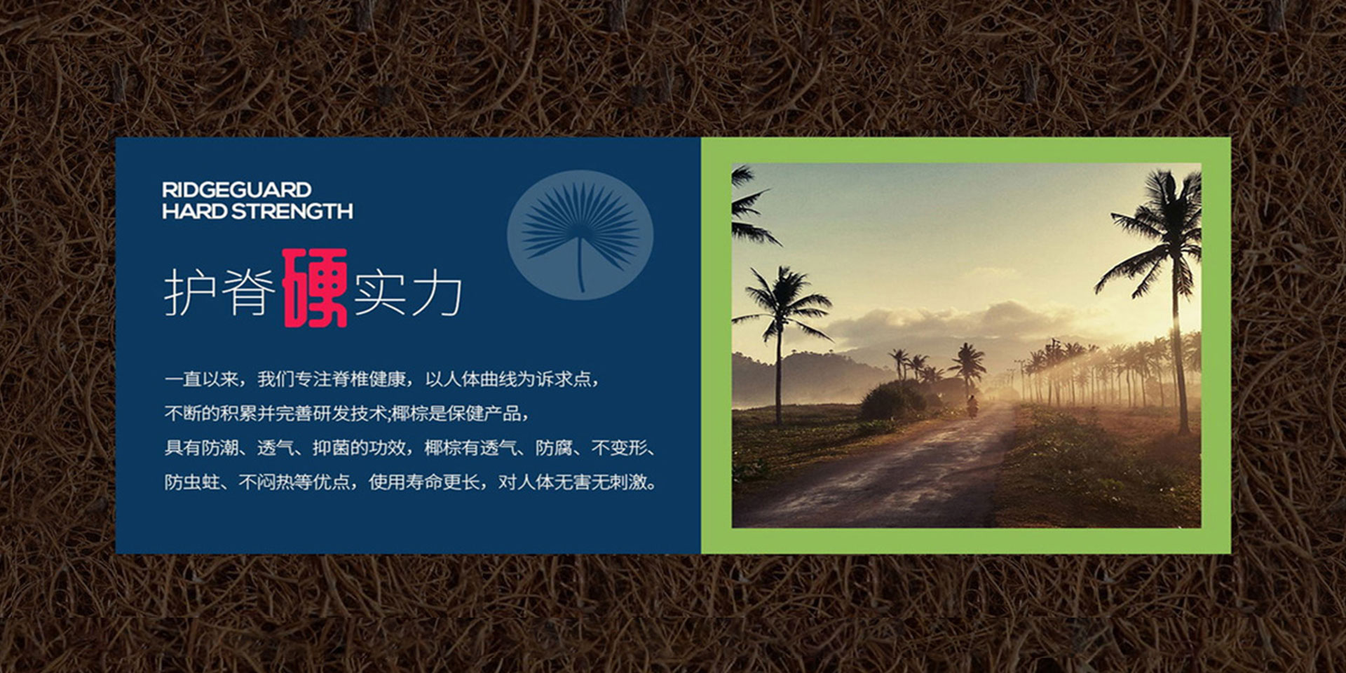 免费看片软件黄片