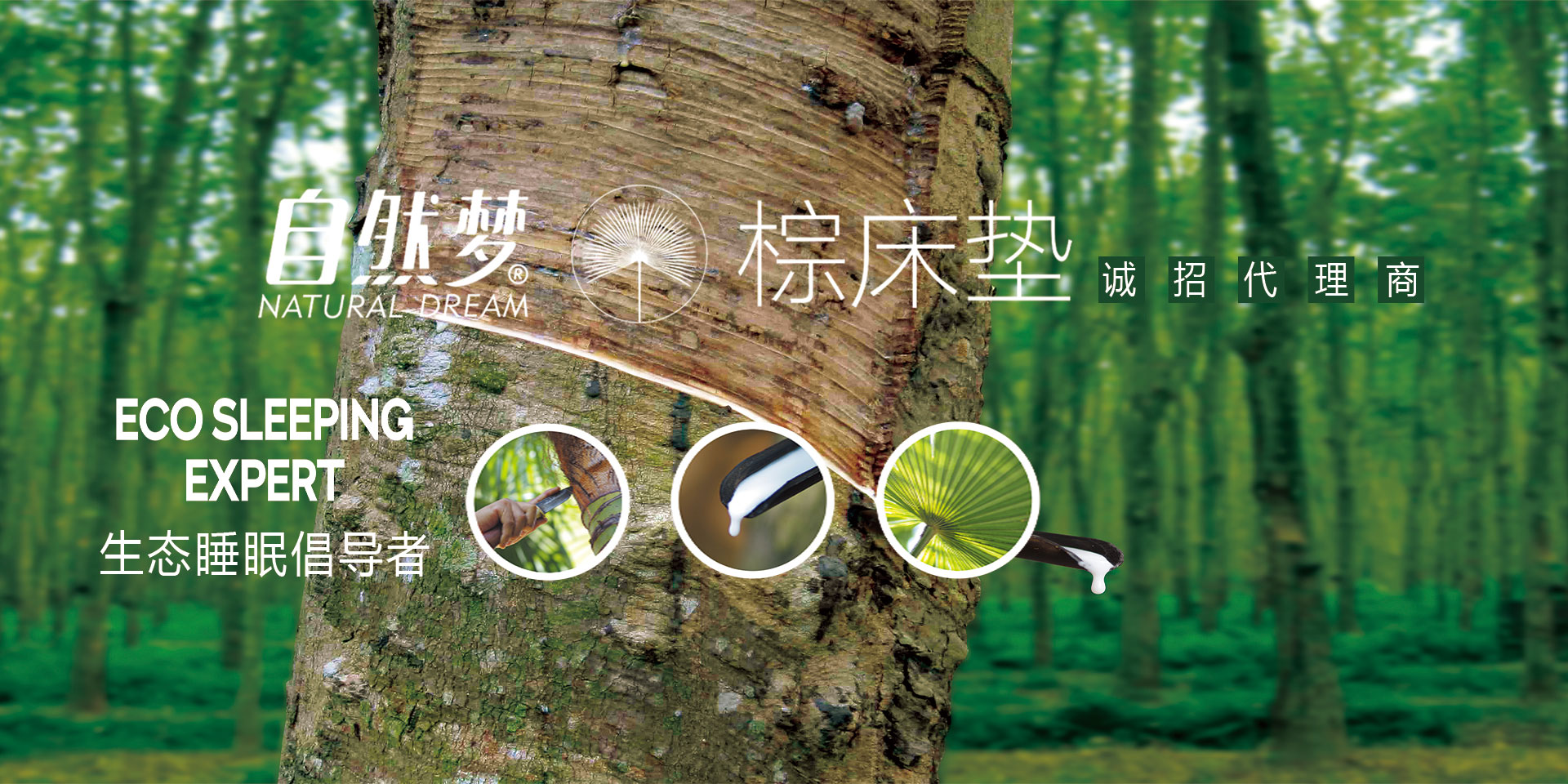免费看片软件黄片