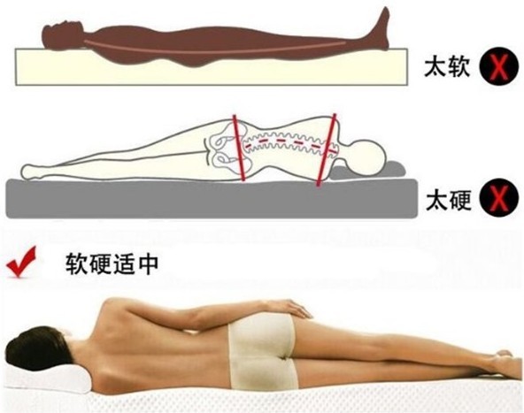 免费看片软件黄片