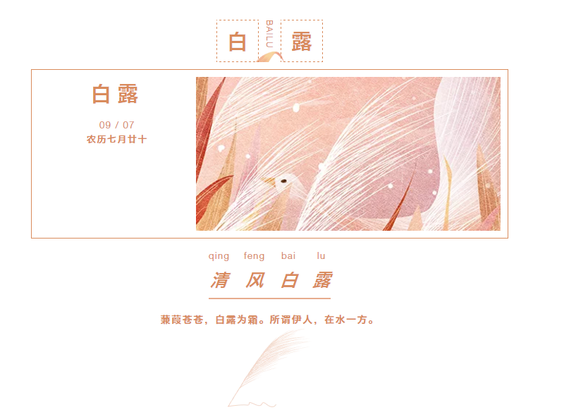 免费看片软件黄片